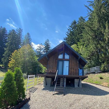 ZărneştiBramble Tiny House别墅 外观 照片